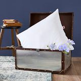 DODO Set van 2 plantaardige anti-mijtkussens, 60 x 60 cm, medium comfort, synthetisch kussen Lin'finite, verrijkt met lijnolie en intense zachtheid, gemaakt in Frankrijk, machinewasbaar op 40 °C