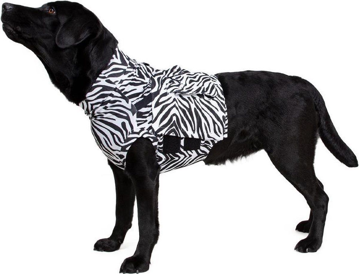 Medical Pet Shirt Medical Pet Top Shirt Zebraprint - L