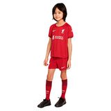 NIKE Liverpool FC 2022/23 Thuis Shorts