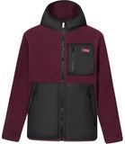 Regatta Hybride fleece voor kinderen Munro
