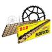 Kettingset DID Kettingset staal 520VX3 / 102 clipslot voor Aprilia SX 125 cc Bj. 2009-2014
