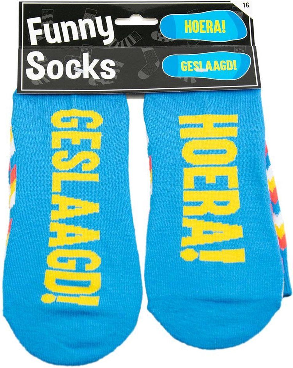 Panda - sokken Funny Socks geslaagd katoen blauw one size