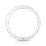Philips Lampe fluorescente circulaire TL-E Super 80 - 32W - 4100K - G10Q - 2375 lm - Dimmable