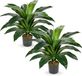 Ibenzoa® Set de 2 grand dragonnier artificiel