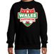 Bellatio Decorations Wales supporter schild sweater zwart voor kinderen 134/146