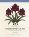 Winter Botanicals: A Botanical Coloring Book for Adults