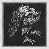 Nekrodeus - Ruass LP