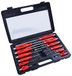 Amtech W5600 Mechanica Schroevendraaier Set