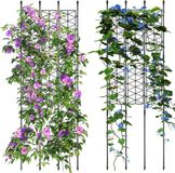 Shenzhen Haorui Industrial Technology Co., Ltd. Trellis pour plantes grimpantes - 12 pièces - Plastique - 127 cm x 47,75 cm