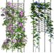 Shenzhen Haorui Industrial Technology Co., Ltd. Trellis pour plantes grimpantes - 12 pièces - Plastique - 127 cm x 47,75 cm