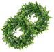 LSKYTOP 2 Pack Kunstmatige Buxus Krans Ronde Groene Bladeren Deur Muur Raam Decoratie, 11Inch/PC