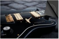 Dietrix Inductie Beschermer - 76x51.5cm - Black en Gold - Gitaar