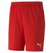 PUMA heren shorts teamGOAL 23 knit Shorts