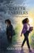Breaking Trilogy Christian Publishing Breaking Career Barriers: From Burnout to Purpose Paperback