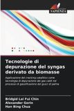 Tecnologie OmniScriptum SRL Tecnologie di depurazione del syngas derivato da biomasse