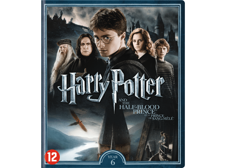 Harry Potter 6 Subtitrat In Romana Warner Home Video Harry Potter 6: En de Halfbloed Prins DVD Film kopen