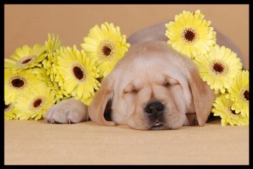 Digital Republic.Com 40143 Deurmat - Polyamide PVC - Ftalaatvrij
