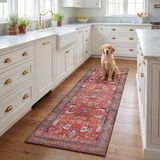 Safavieh Traditioneel tapijt, machinewasbaar, antislip, ideaal voor drukbezochte ruimtes, Tucson-collectie, laagpolig, beige en grijs, 120 x 120 cm