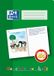 Oxford 100050098 schrijfblok & schrift A4 Groen