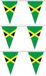 Merkloos / Sans marque Shoppartners Bv Vlaggenlijn Jamaica - 3x - 5 meter - Polyester - Multi