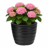 Merkloos / Sans marque Valetta Bloempot - antraciet - 47 x 35 cm - rond - kunststof - plantenpot - incl binnenpot