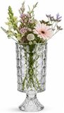 Alessandro vase à fleurs Genova - verre transparent travaillé - H23 cm