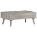 Maison Exclusive - Table basse, gris, 100x60x40 cm, manguier massif avec finition brute