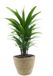 Van der Leeden Plantenmand - rotan - maisblad - D18 x H15 cm - ronde plantenpot - bloemen mand - handgevlochten