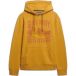 Superdry Sweat à capuche Superdry Outdoors Mountain Rlxd