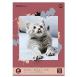 Edition Dürer tekenblok A2 10 vellen 100 g/m² geperforeerd, kleurplaat voor kinderen en volwassenen