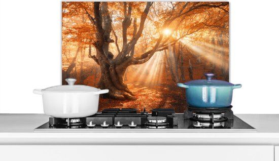 KitchenYeah Spatscherm keuken 70x50 cm - Kookplaat achterwand Boom - Natuur - Herfst - Muurbeschermer - Spatwand fornuis - Hoogwaardig aluminium