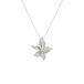 Amen Halsketting (P) Natuur, Colar zilver 40 + 5 cm, Prata 925 (5,59 g), natuur CLFILUBBZ merk, eenheidsmaat, metaal, geen edelsteen, one size, metaal, geen edelsteen