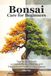 Bonsai Care for Beginners: Step-by-Step Guide on How to Grow, Maintain, and Troubleshoot Healthy Indoor Bonsai
