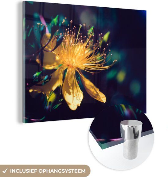MuchoWow® Glass Painting 120x90 cm - Acrylic Glass Painting - Fairytale Photo of St. John's Wort and Yellow Colors - Photo on Glass - Paintings