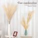 Ibenzoa® Pampas artificiel