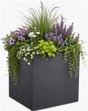 EDA Volcania 50 cm Anthracite Gris Pot Carré