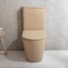 Hudson Reed Elements Pack WC rond à poser - Abattant à fermeture douce - Design moderne - Beige