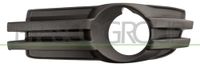 PRASCO Lüftungsgitter, Stoßfänger DG0112134 links | Compatibel met: CHRYSLER GRAND VOYAGER V