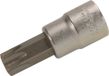 BGS Dopsleutelbit 3/8 Torx met boring T55