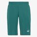 Puma Ess 2 Color No. 1 heren sweatshort groen - Maat XXL