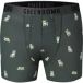 Greenbomb Boxer Frenchie