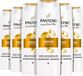 Pantene Pro-V Active Nutri-Plex Repair & Protect Shampoo - Voordeelverpakking 6 x 250ml