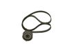 BOSCH 1 987 946 322 Tandriem