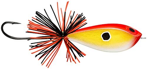 Rapala Rapala - BX Skitter Frog visaas - Balsa/kunststof constructie - Drijvend zoetwateraas - Zwemdiepte oppervlak - Maat 5,5cm/13g - Gemaakt in Estland - Goud Fluorescerend Rood