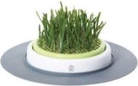 Catit Design Senses Grass Garden Kit - Kattengras