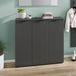 Germania Schoenenkast Willian | 113 x 37 x 108 cm | Antracietkleurig