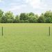 VidaXL Euro-hek met palen 10 x 0,4 m pvc-coated staal groen mesh