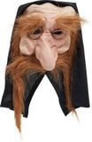 Bristol Novelty Unisex Adults Gnome Hood And Beard Mask (Brown)