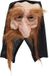 Bristol Novelty Unisex Adults Gnome Hood And Beard Mask (Brown)