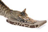 Karlie Kartonnen krabplank giraffe 44 x 21,5 x 5,5 cm